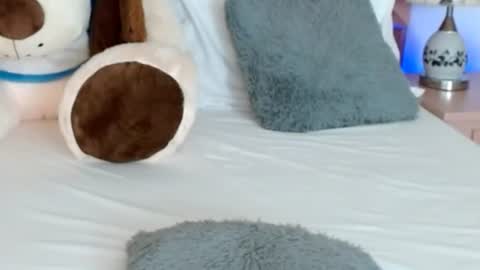Snapshot of leonacutecam chatting on 07-24-26, 08:29 LUCY online show from 07-24-26, 08:29