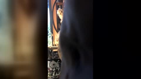 Leon online show from 02-27-26, 08:42