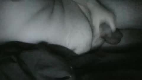 Rayne online show from 12-25-24, 06:52