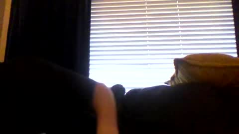 Snapshot of letithang24 chatting on 08-04-26, 03:47 letithang24 online show from 08-04-26, 03:47