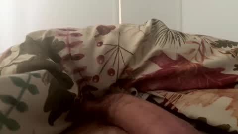 Snapshot of letsgohome2222 chatting on 10-11-25, 02:37 letsgohome2222 online show from 10-11-25, 02:37