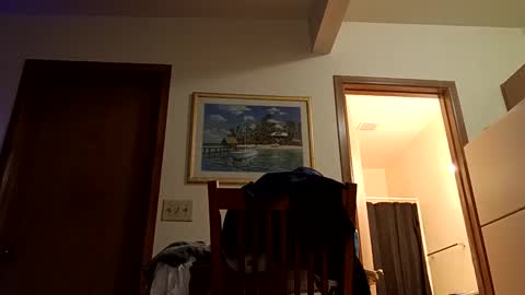 letsplay361 online show from 03-02-25, 08:05