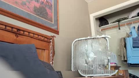 letsplayzs online show from 06-02-26, 08:22