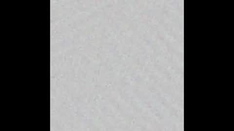 lewdy booty online show from 03-05-26, 02:18