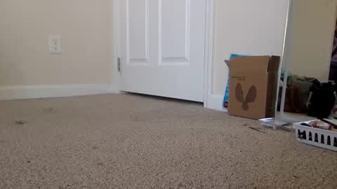 Snapshot of lexiial0 chatting on 11-19-25, 04:40 Alexia L. online show from 11-19-25, 04:40