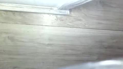 Olive Pena online show from 05-14-26, 11:06