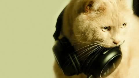 li_lit online show from 04-30-26, 07:25