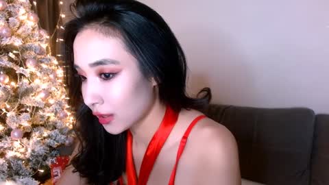 Snapshot of li_noen chatting on 12-27-24, 08:39 Li  online show from 12-27-24, 08:39
