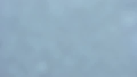 . online show from 02-01-25, 03:52