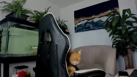 lia_lovelly online show from 07-14-26, 03:40