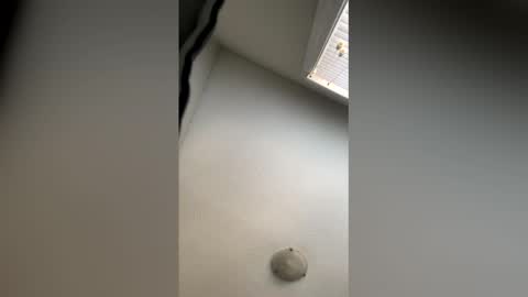 lickherking79 online show from 05-05-26, 11:35