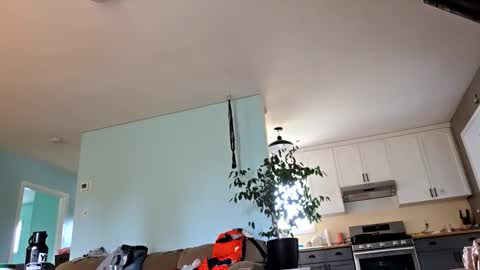 Snapshot of lickurpussygood40 chatting on 10-24-25, 05:31 lickurpussygood40 online show from 10-24-25, 05:31