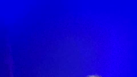 Snapshot of lickyouryoni chatting on 01-13-25, 02:21 LickYourYoni online show from 01-13-25, 02:21