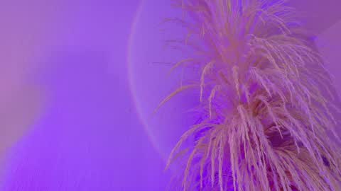 Liiam Luna online show from 03-31-26, 09:10