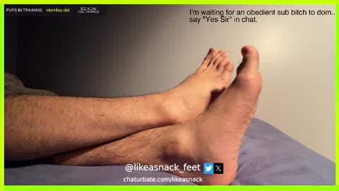 Snapshot of likeasnack chatting on 10-14-25, 06:47 likeasnack online show from 10-14-25, 06:47