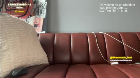 Snapshot of likeasnack chatting on 04-15-26, 02:24 likeasnack online show from 04-15-26, 02:24