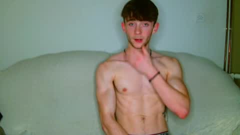 lilbearxxxx online show from 04-07-26, 12:22