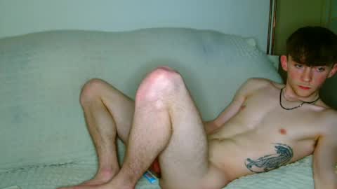 lilbearxxxx online show from 05-09-26, 11:32