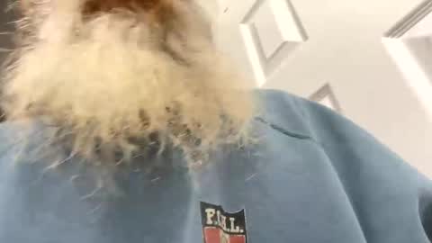 lilchaps69 online show from 02-04-26, 05:46