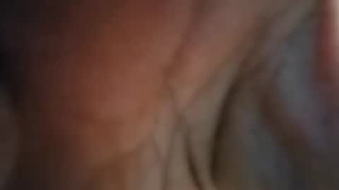 Snapshot of lilcockinhand chatting on 01-02-25, 03:08 Lilcockinhand online show from 01-02-25, 03:08