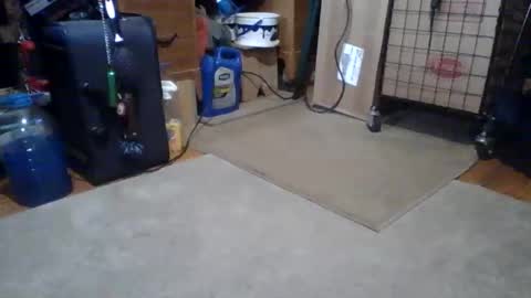 lildman420 online show from 03-14-26, 05:51