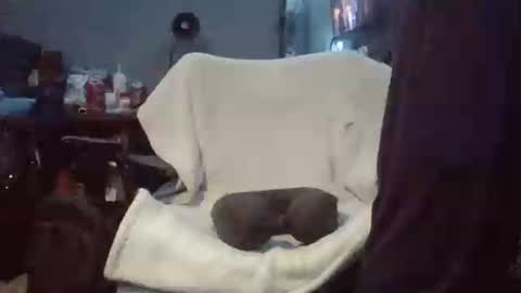 lildman420 online show from 03-24-26, 09:42