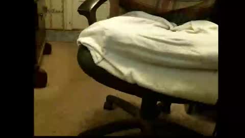 Sasquatch online show from 03-01-26, 05:37