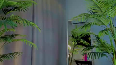 lililok101 online show from 11-19-25, 02:22