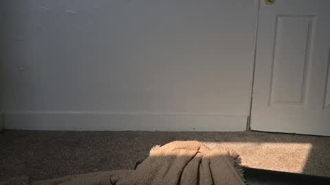 Snapshot of lilithoftrees chatting on 03-04-25, 04:30 L online show from 03-04-25, 04:30