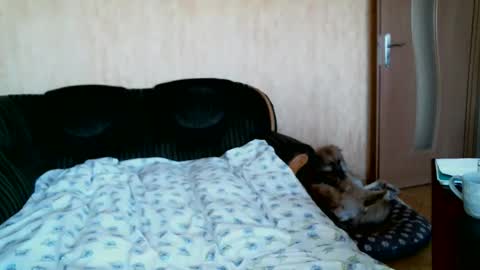 Lenkaa777 online show from 04-01-26, 12:28