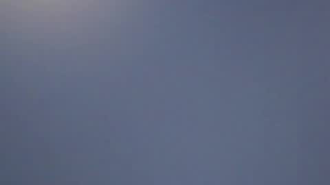 lillie_berry online show from 04-11-26, 08:18