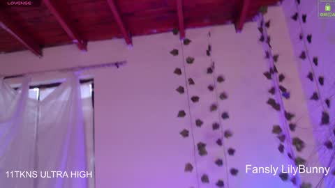 Fansly LilyBunny- help me reach 50 thumbs up online show from 12-06-24, 10:19