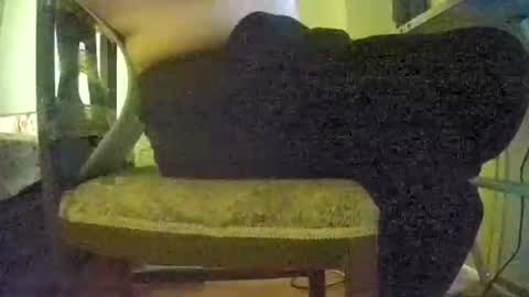 Snapshot of lilylovelyman50 chatting on 06-22-26, 12:02 lilylovelyman50 online show from 06-22-26, 12:02