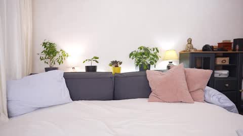 -- My Wishlist  online show from 02-15-26, 07:51