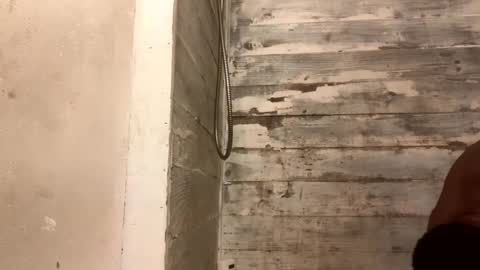 Richie Rich online show from 12-07-24, 10:34