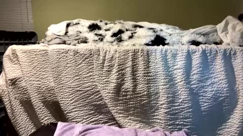 Richie Rich online show from 12-13-24, 07:10