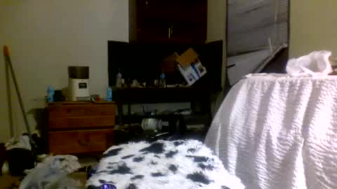 Richie Rich online show from 12-30-24, 08:15