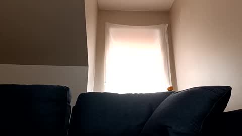 Snapshot of linkutome chatting on 01-12-25, 06:16 linkutome online show from 01-12-25, 06:16