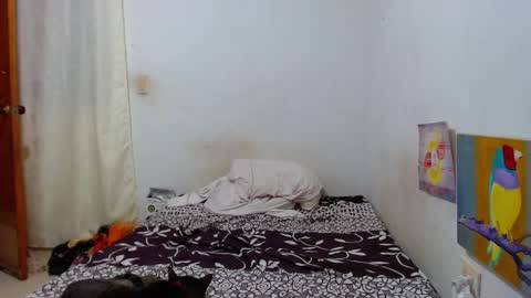 Snapshot of lion_grr chatting on 12-16-25, 02:16 lion_grr online show from 12-16-25, 02:16