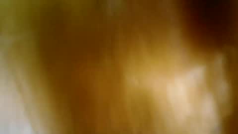 Snapshot of lirpa1997 chatting on 07-10-26, 11:29 April online show from 07-10-26, 11:29
