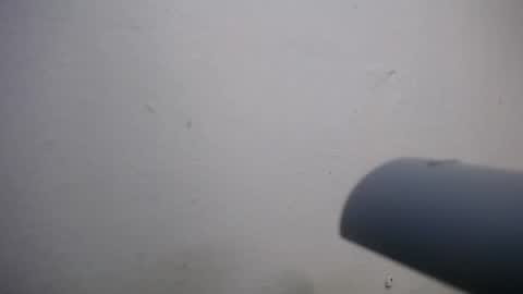 lisa_branch online show from 11-04-25, 07:02