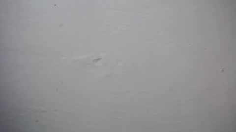 lisa_branch online show from 11-27-25, 07:27