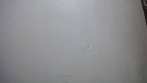 lisa_branch online show from 11-29-25, 11:02