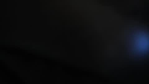 Lisa  online show from 11-17-25, 11:49