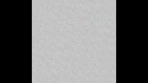 Adaline online show from 02-09-26, 05:33