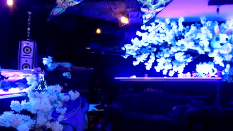 GentleViolet online show from 01-21-25, 04:54