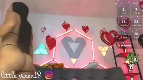 littlevixen18 online show from 04-06-26, 02:40