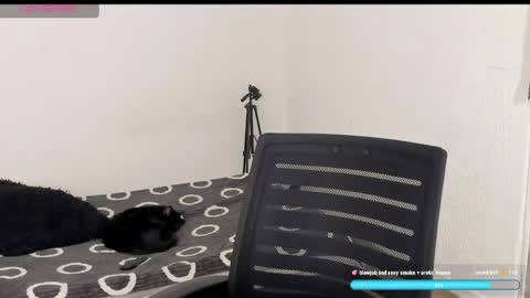 Liu help me to reach 100 thumps up daddy online show from 04-06-26, 09:38