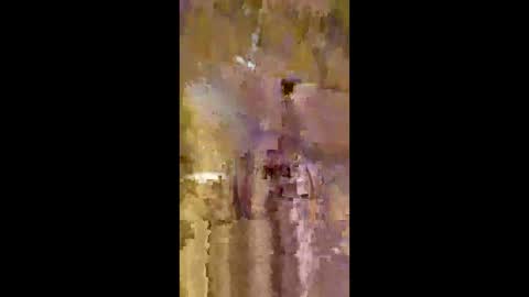 livingdata011010 online show from 05-20-26, 01:34