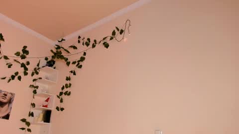 Lixie online show from 01-20-25, 12:04